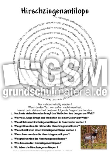 Hirschziegenantilope.pdf